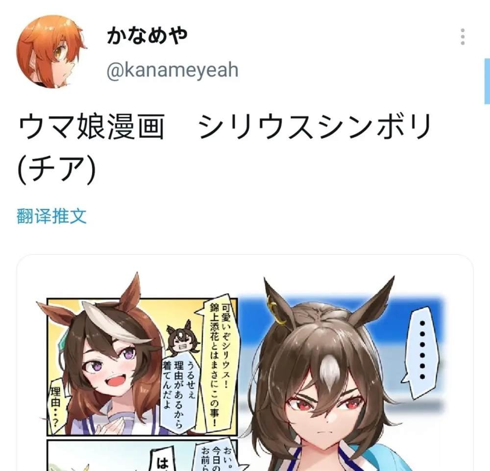 天狼星应援mode