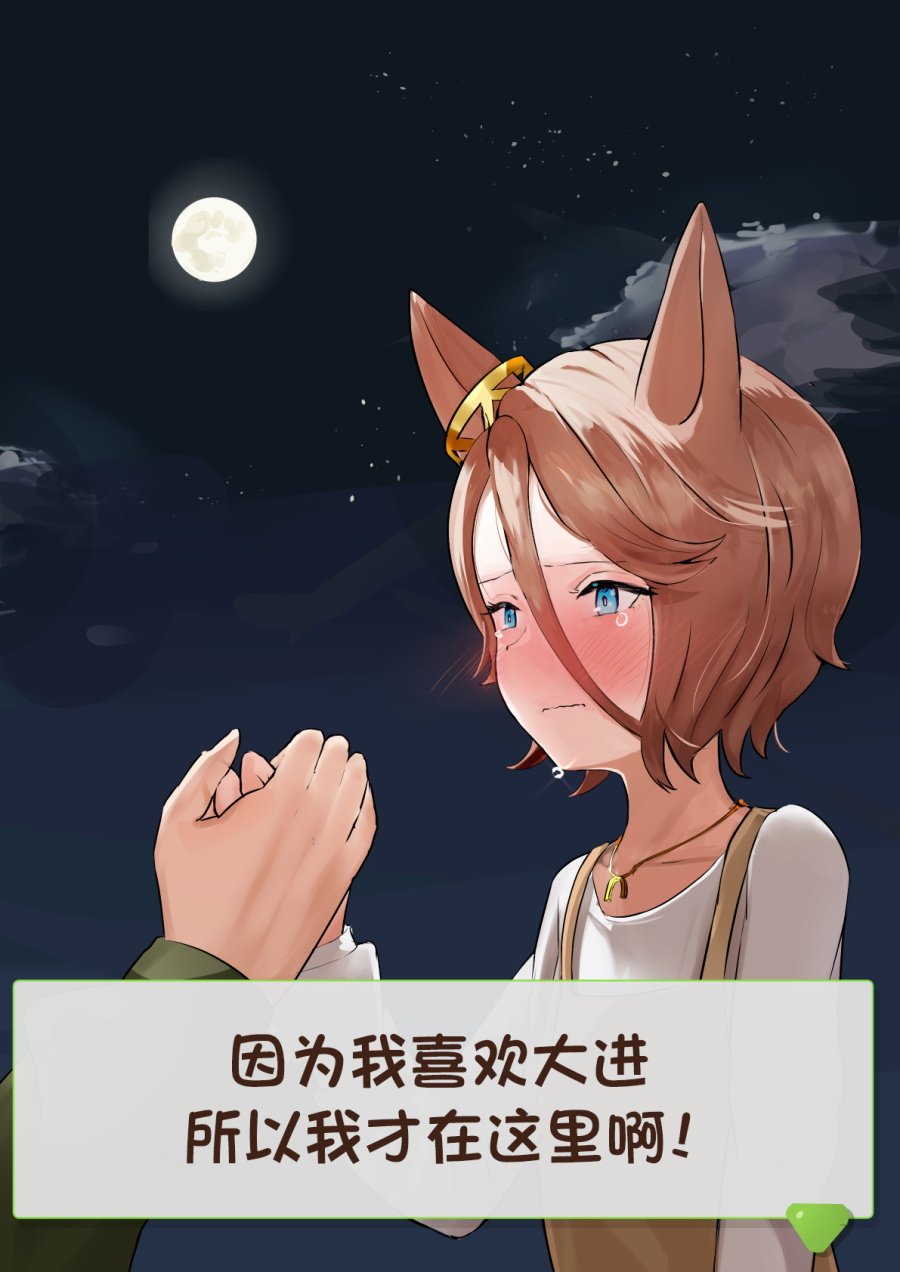 大进退役后