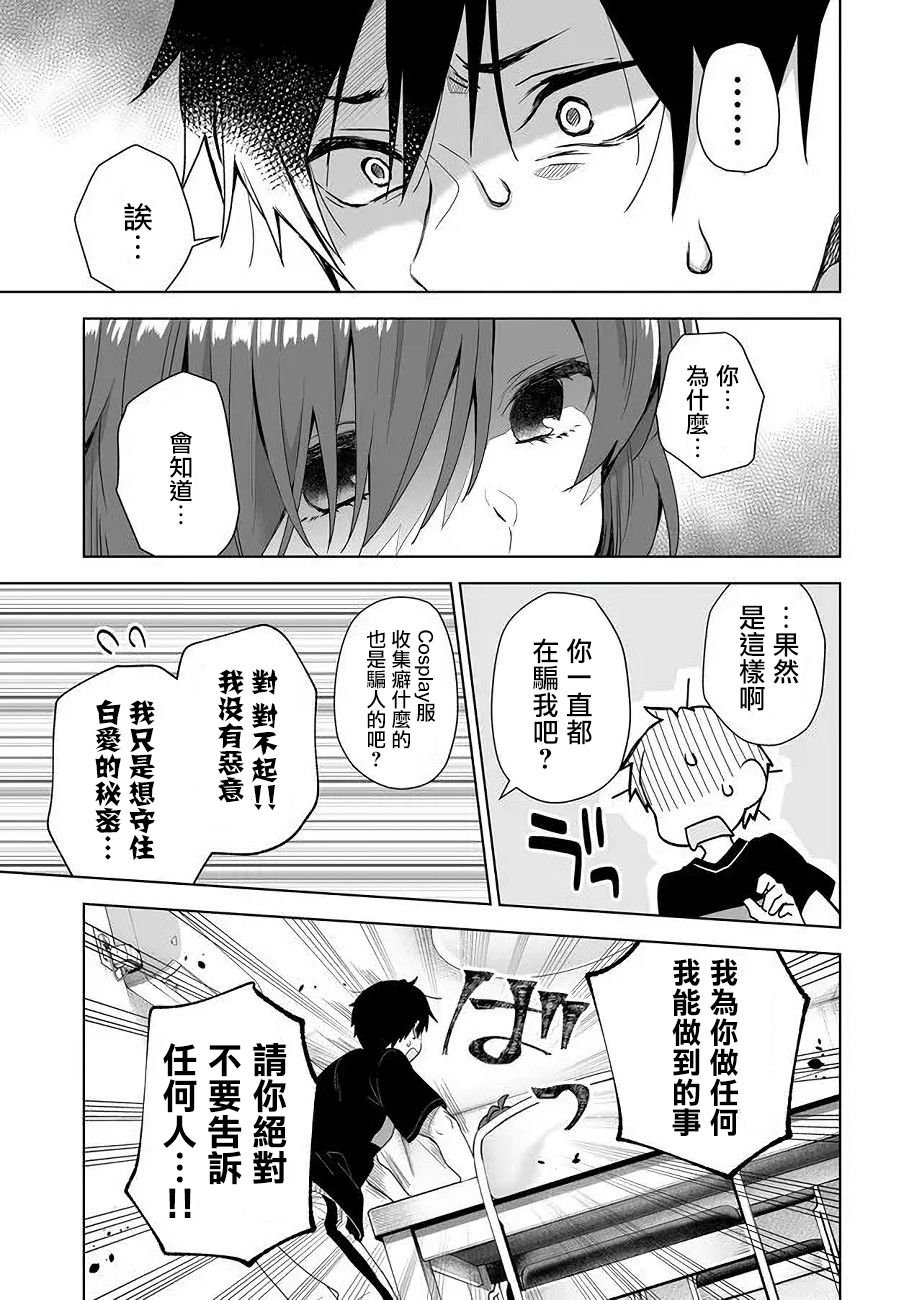 第33话 猫猫向前冲