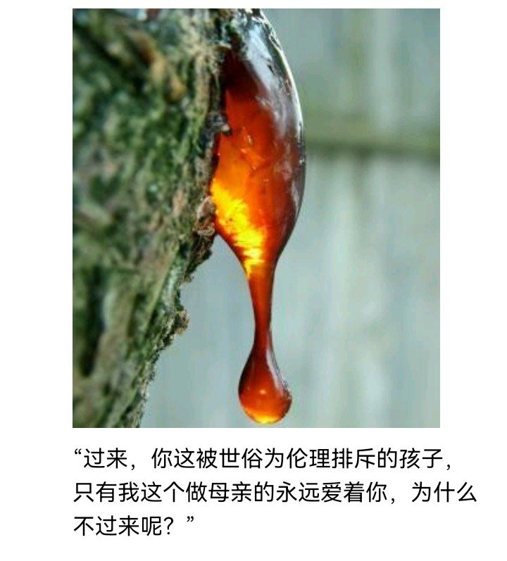 魔女（一）