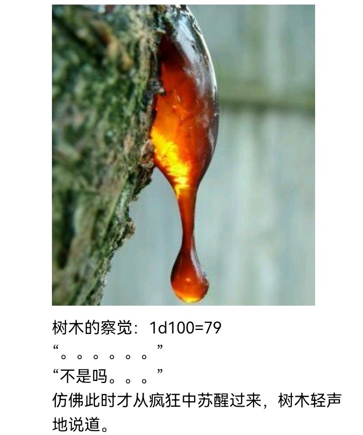 魔女（一）