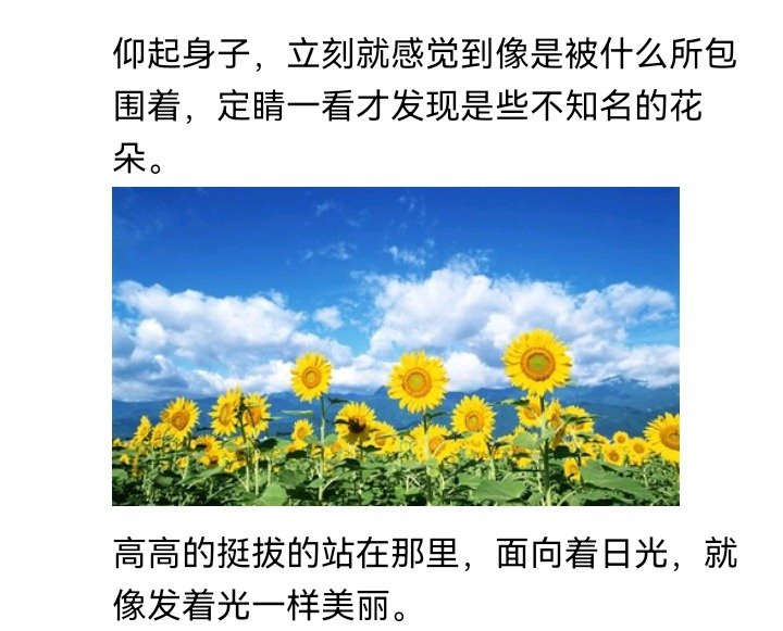 妖狐（九）