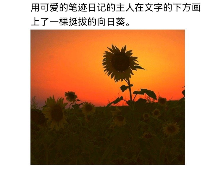 魔女（十三）