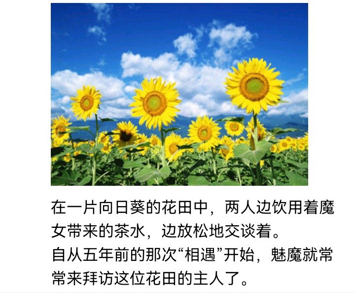 妖怪与魔女