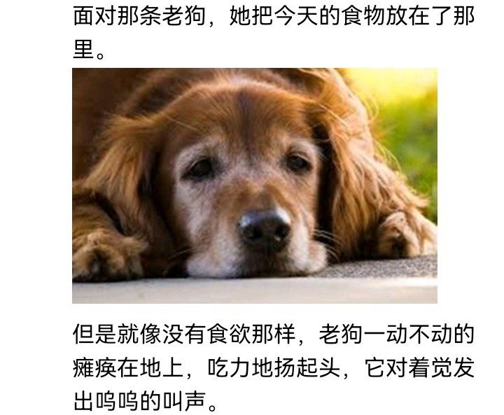 妖怪姐妹