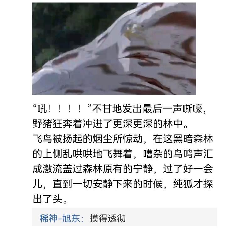 诸神（三）