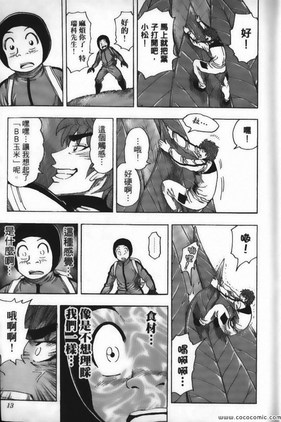 第13卷