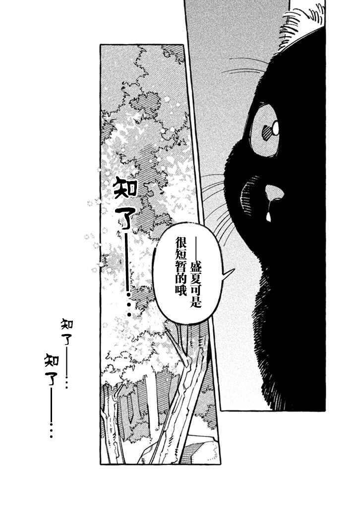 第6话 妖之夏