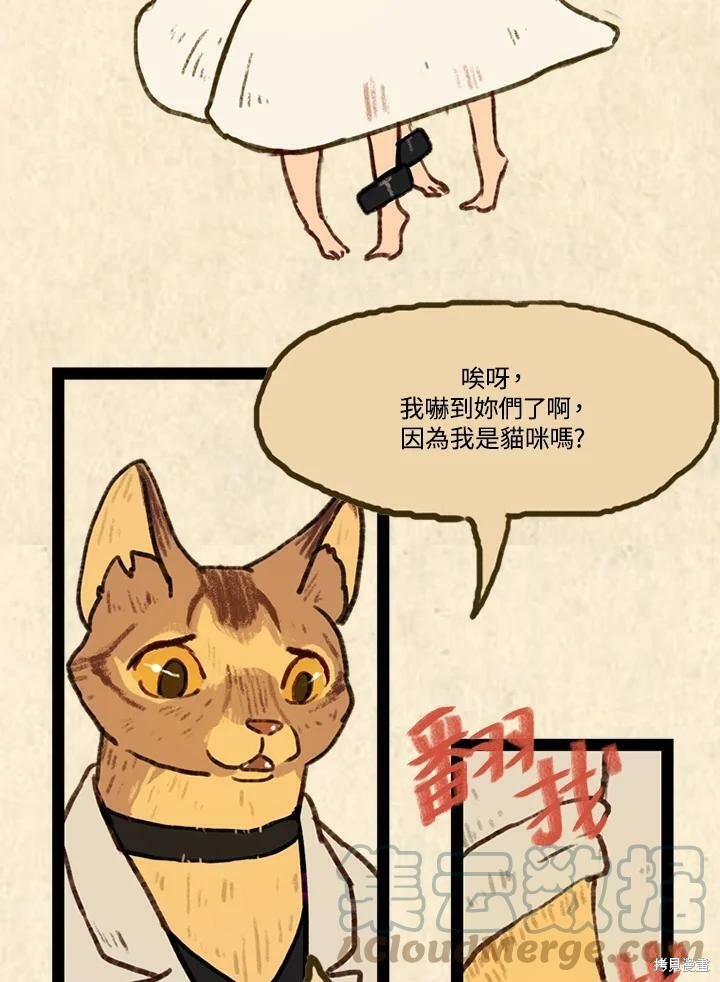 第3季03话