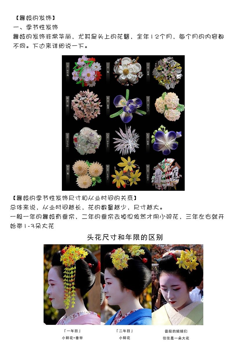 第132话 存在的重要性