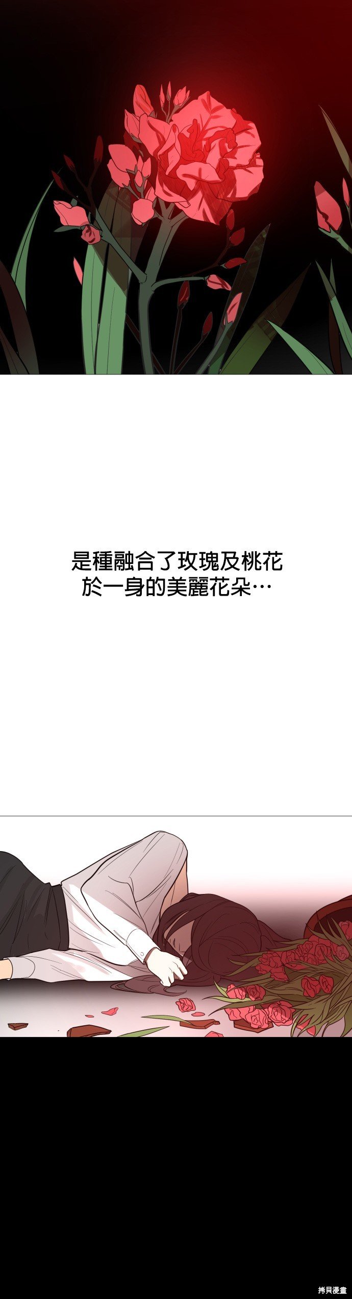 第117话