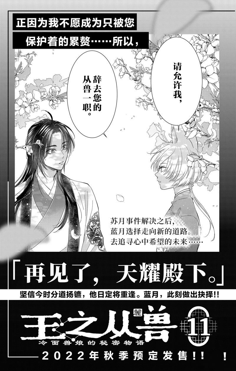 特别篇