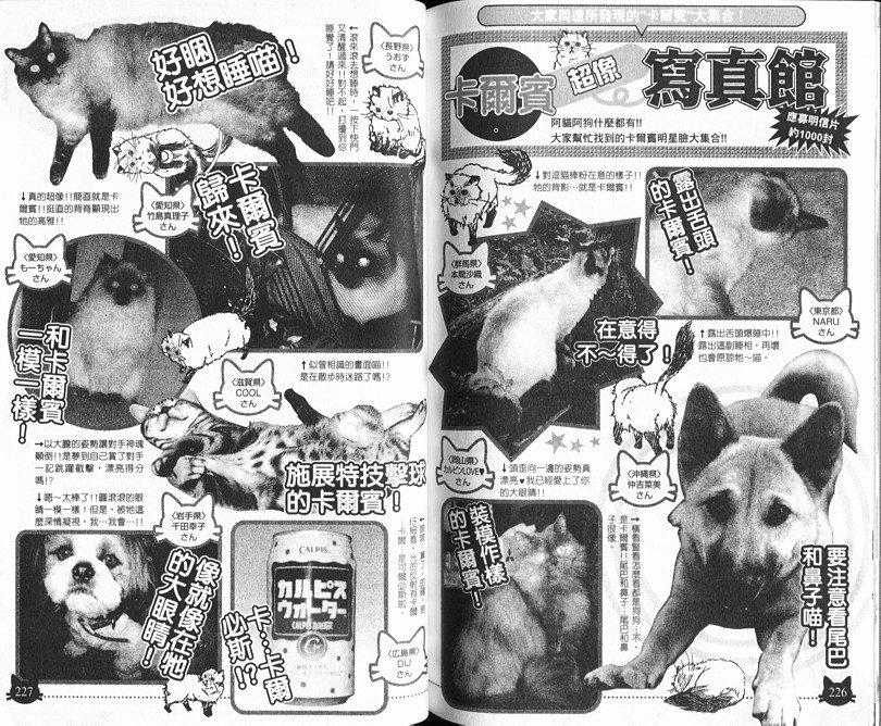 网球王子公式FANBOOK10.5