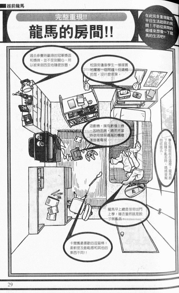 网球王子公式FANBOOK10.5