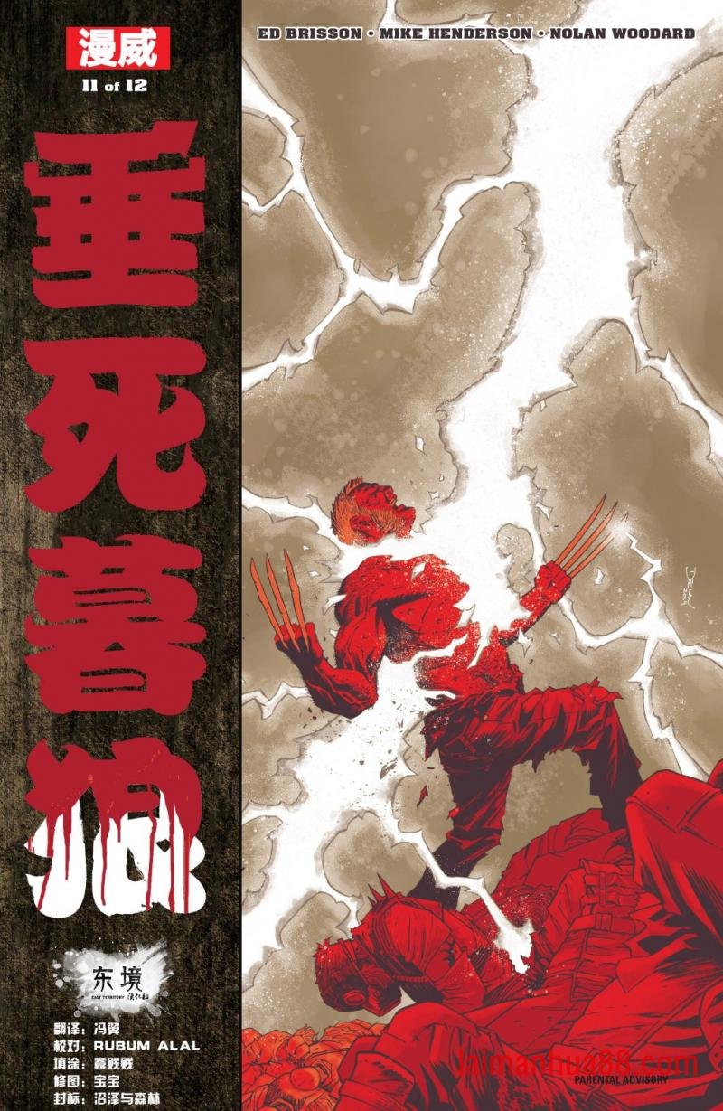 第11卷