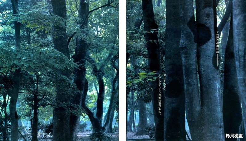 满月篇
