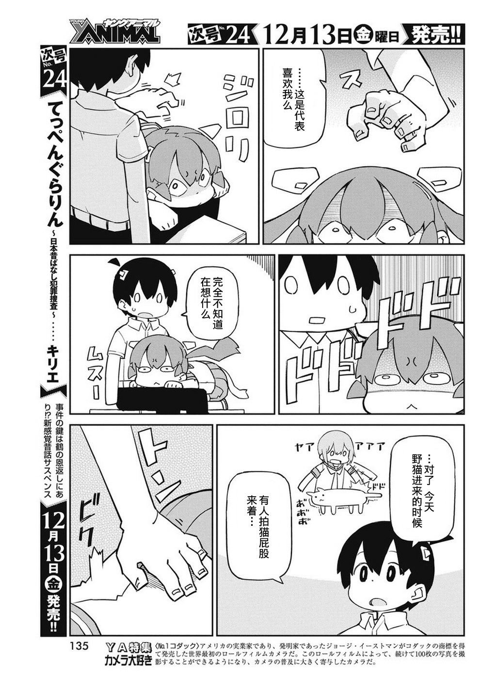 第73话 猫套装