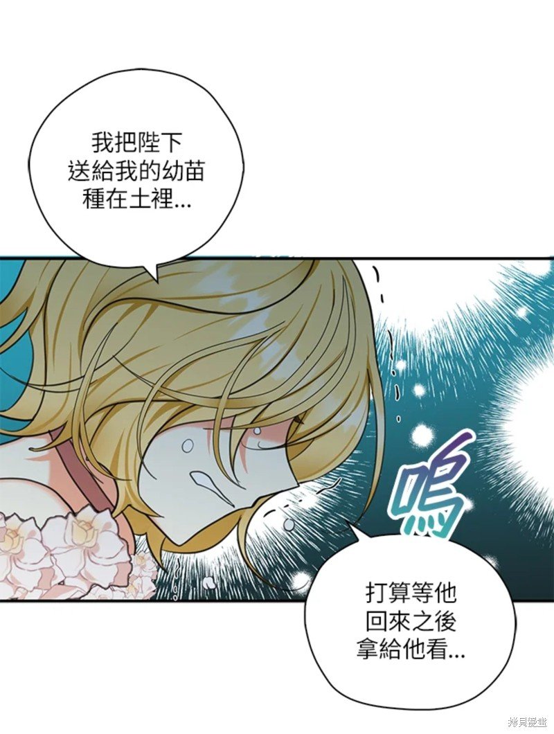 第42话 试看版