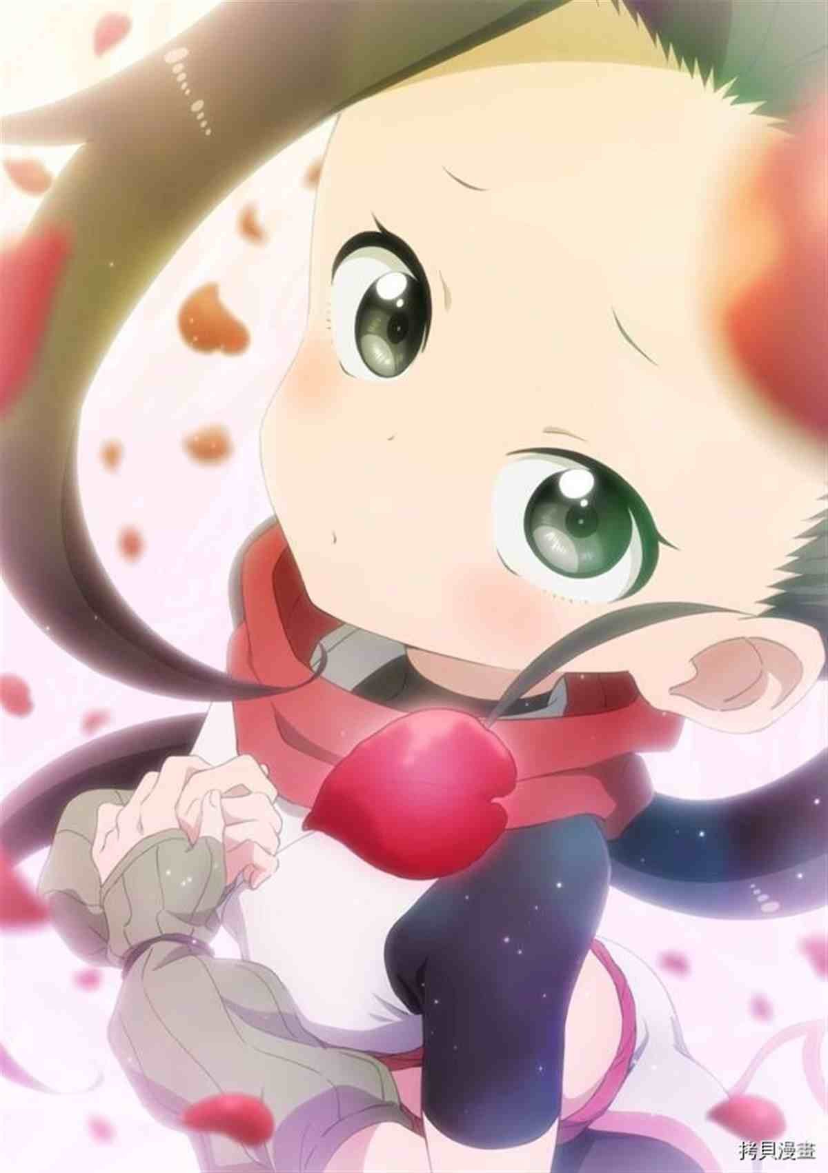 动画化决定