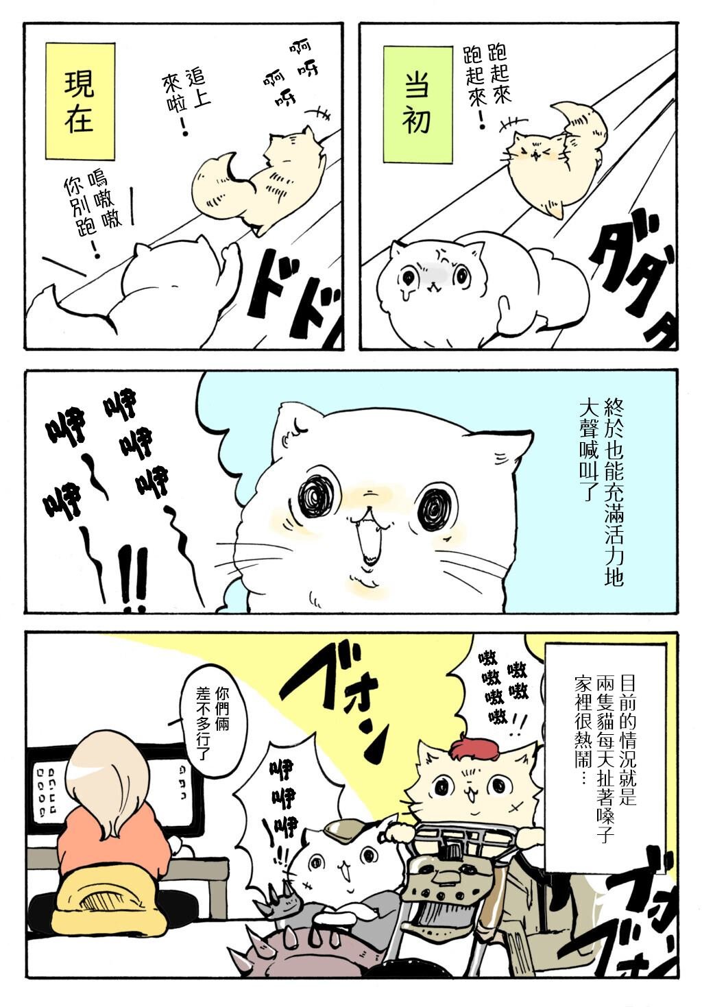 第29话