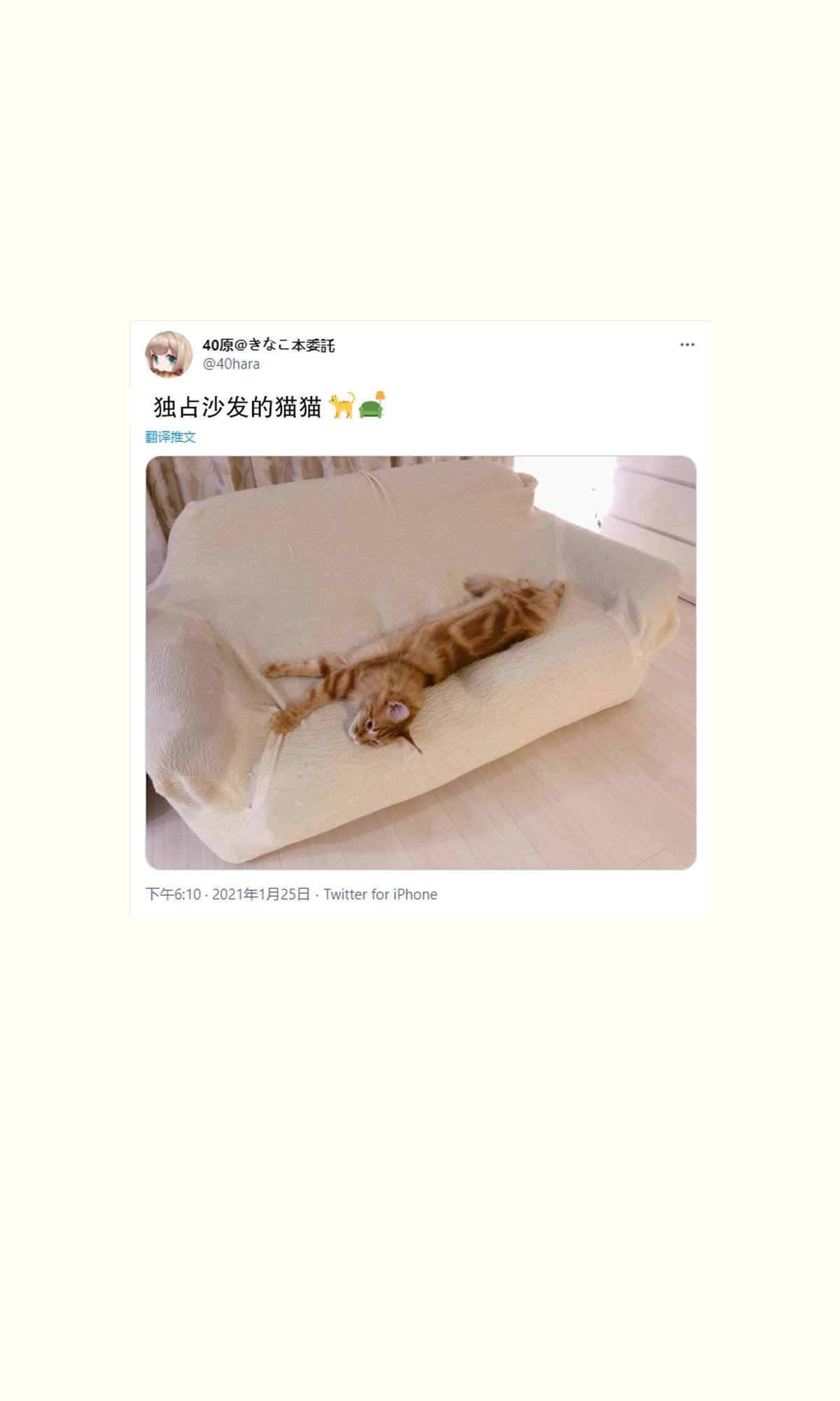 杂图9