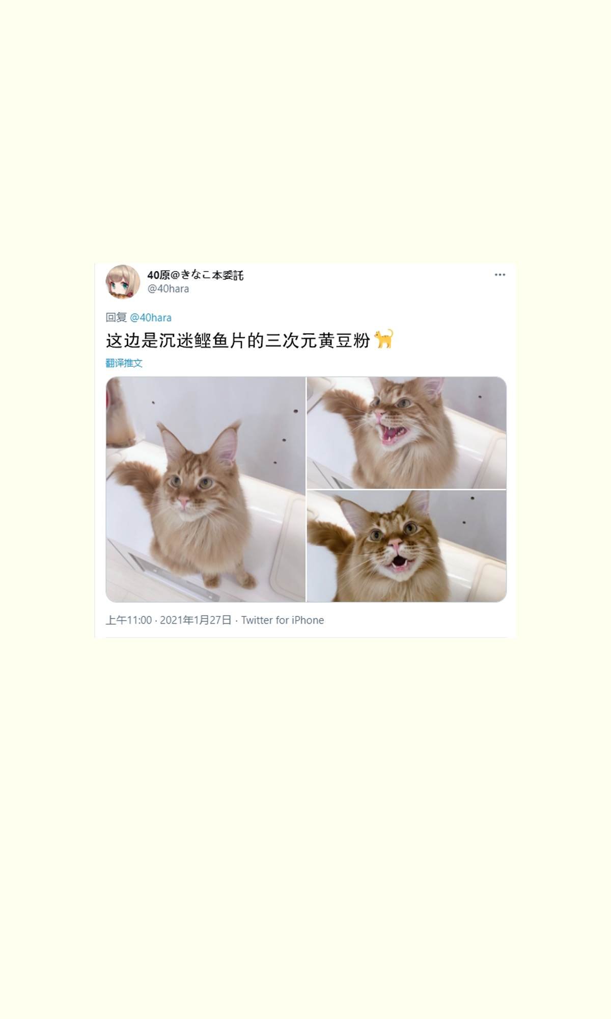 杂图9