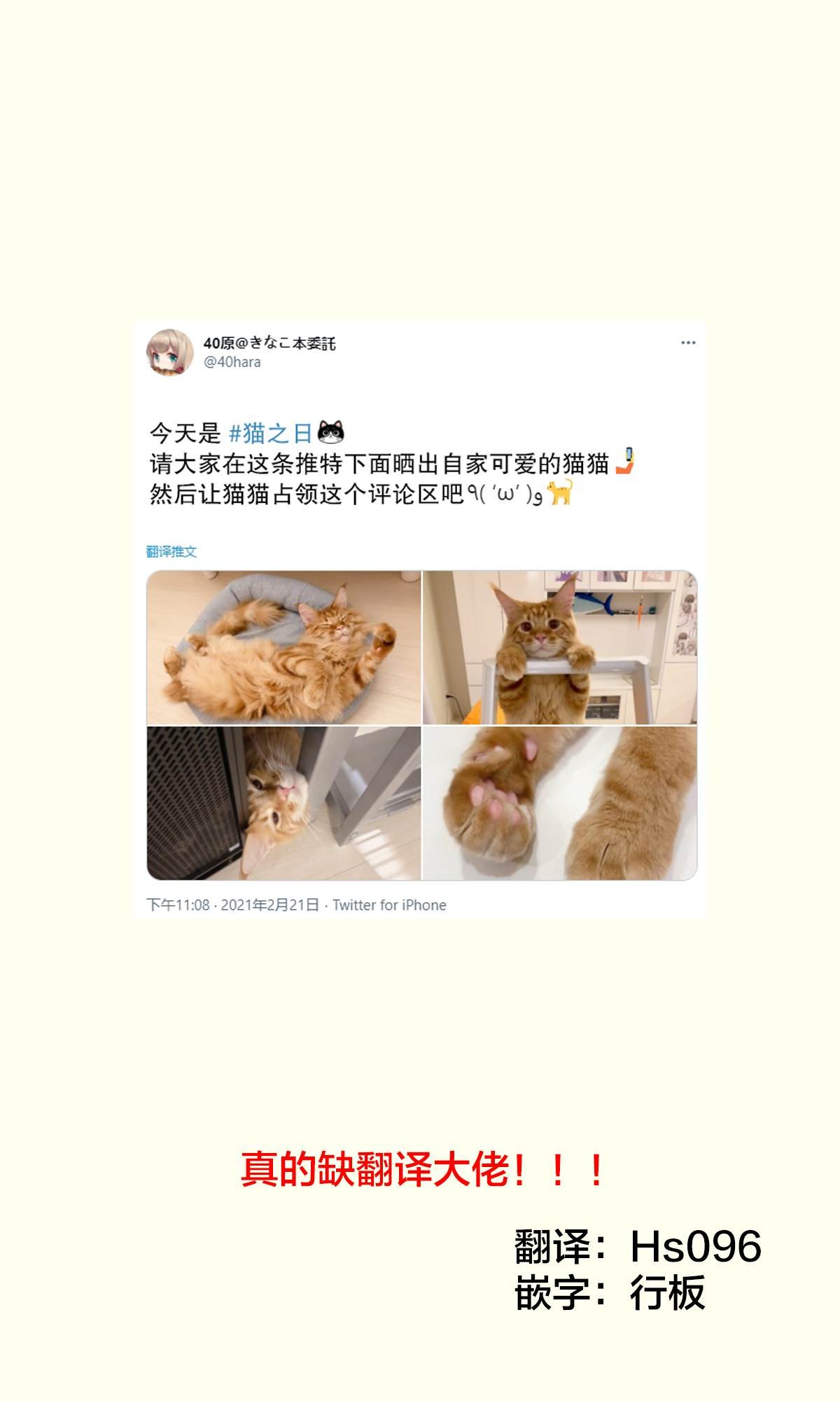 杂图10