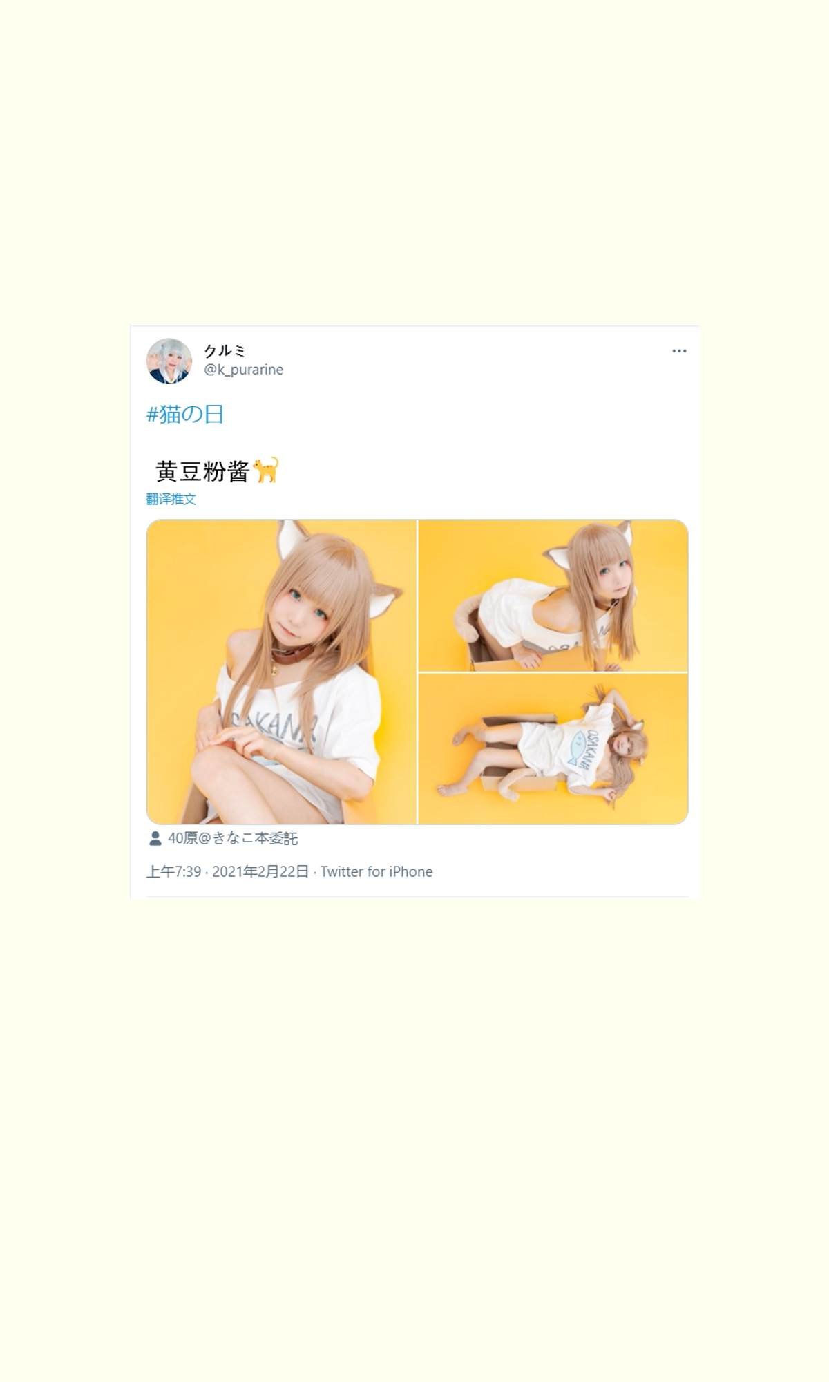 杂图11