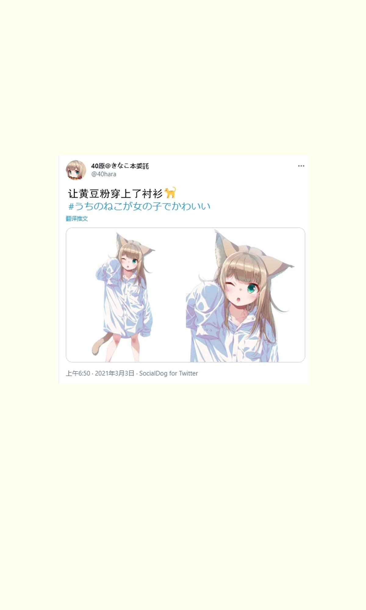 杂图11