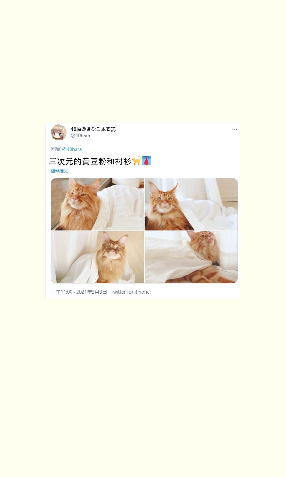 杂图11