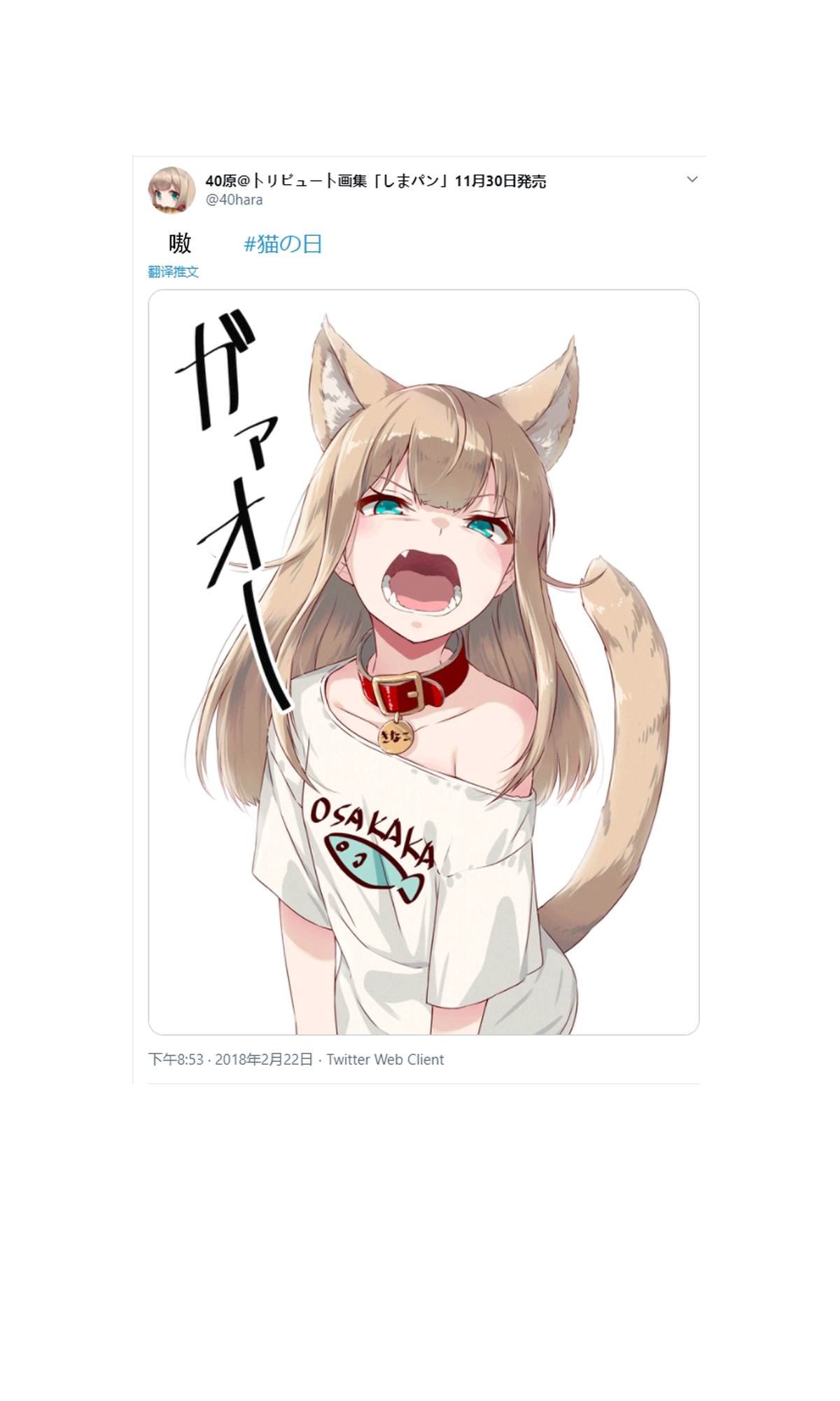 杂图1