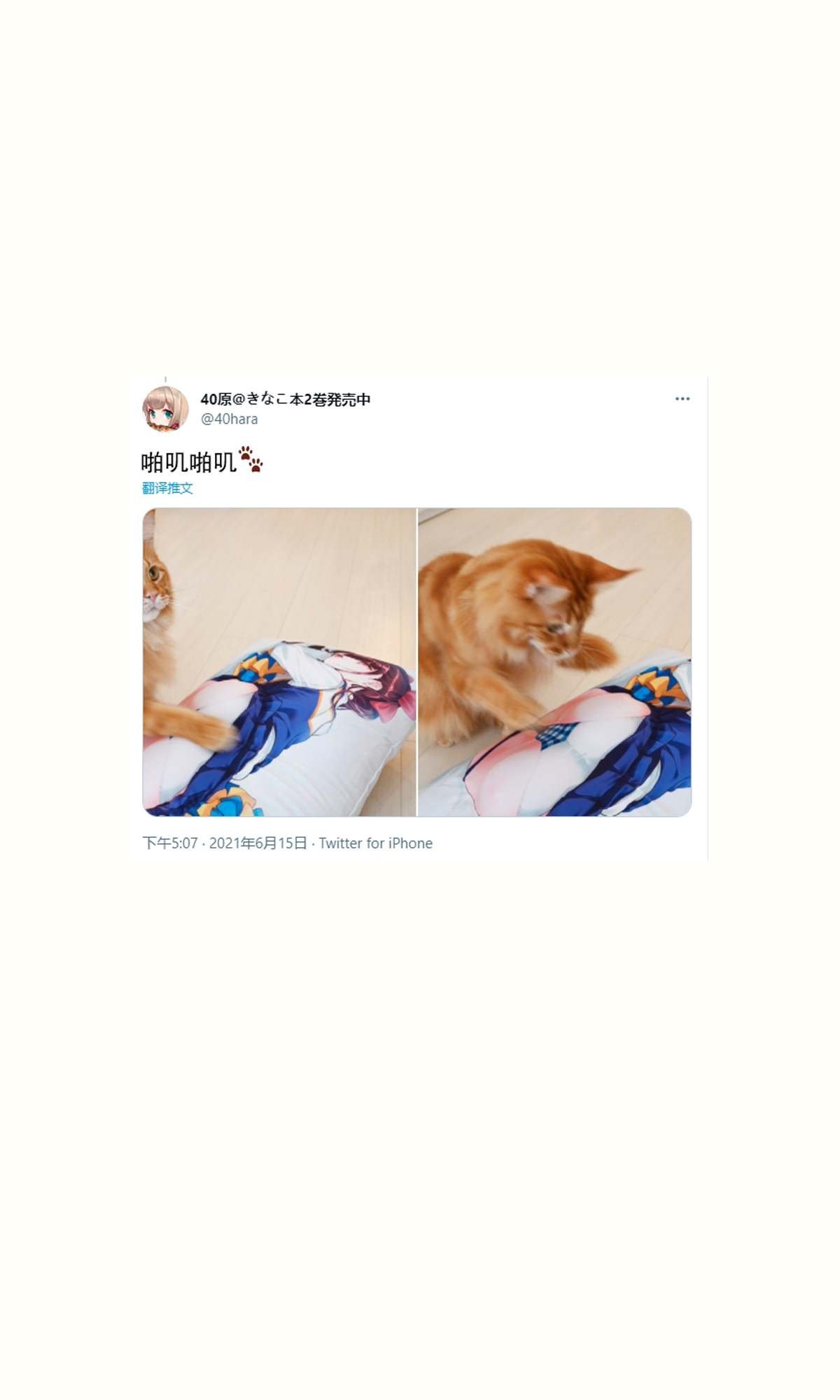 杂图14