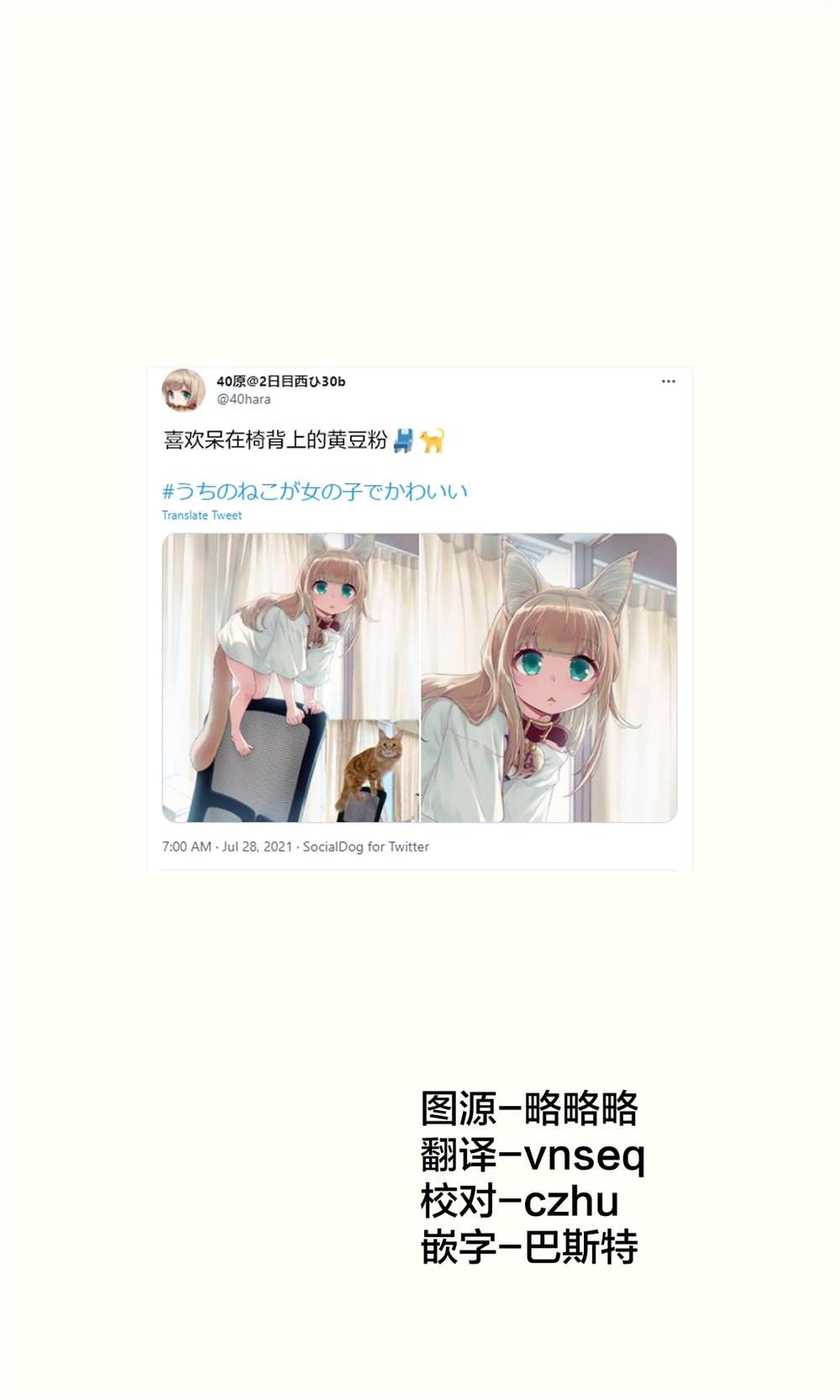 杂图15