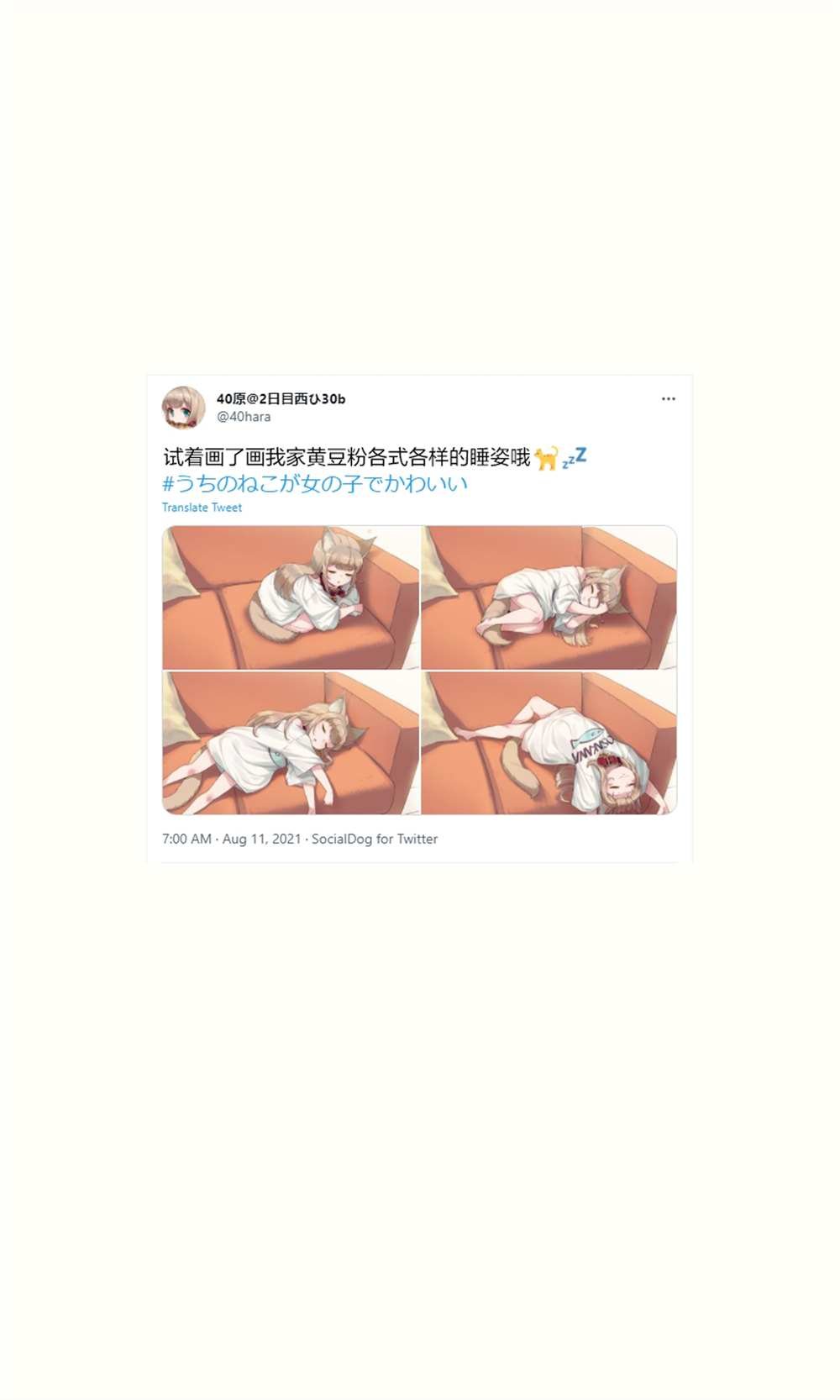 杂图15