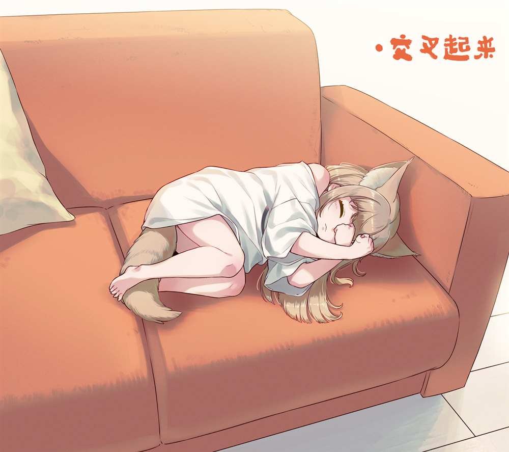 杂图15