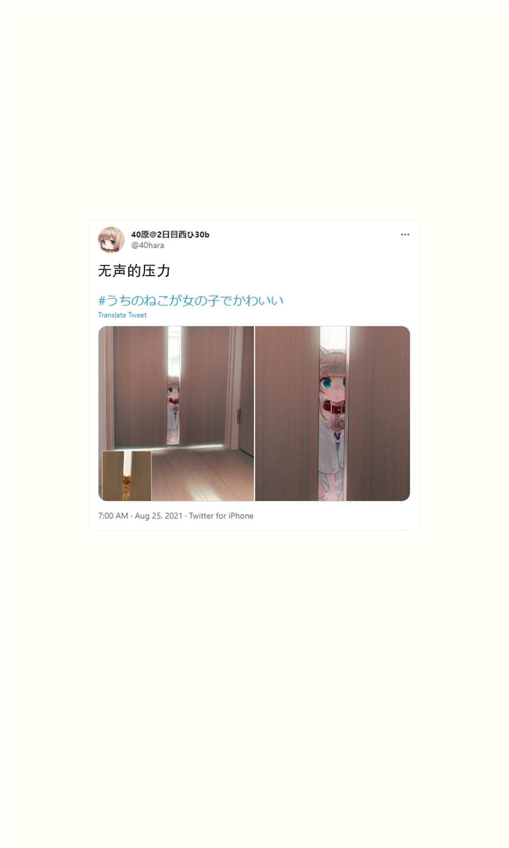 杂图16