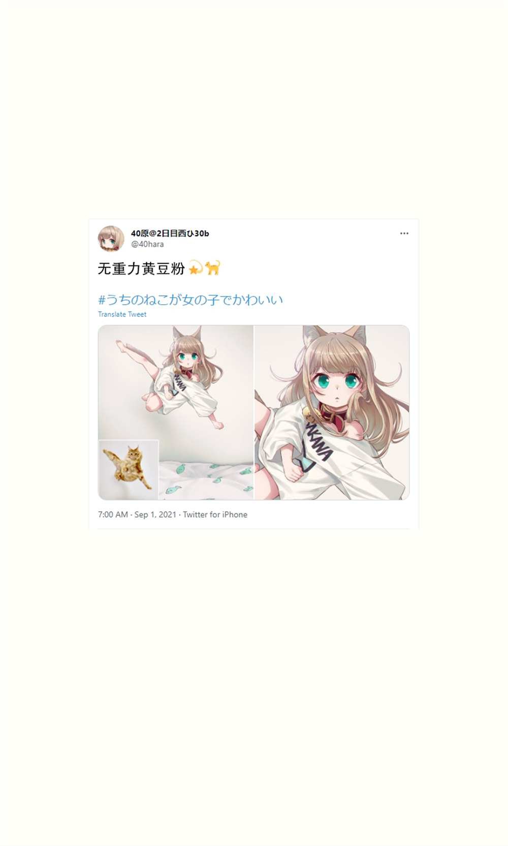 杂图16
