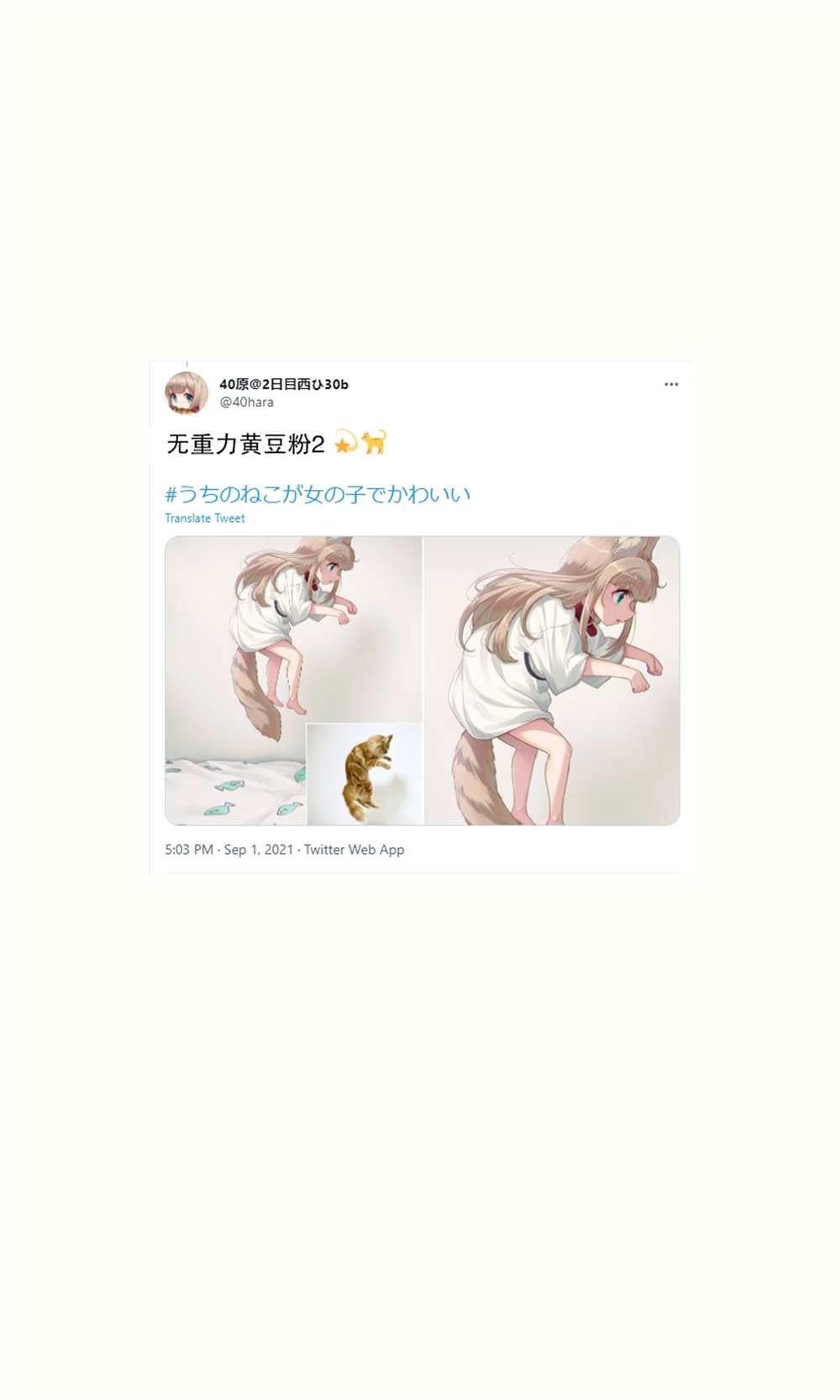 杂图16