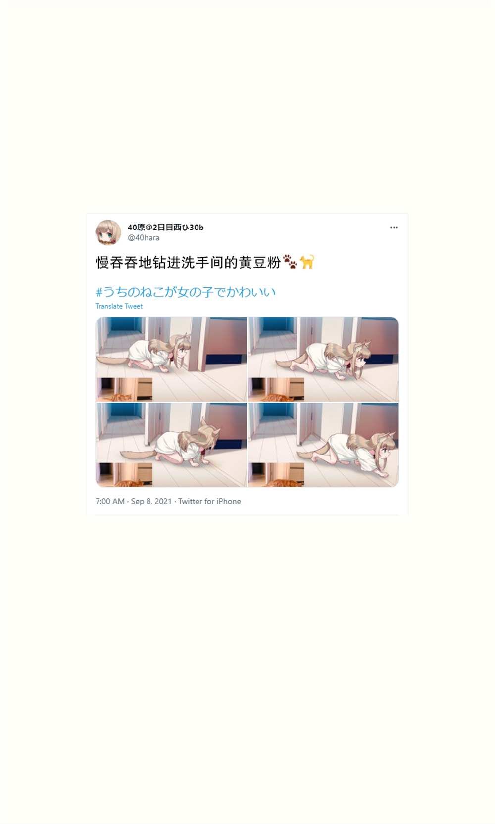 杂图16