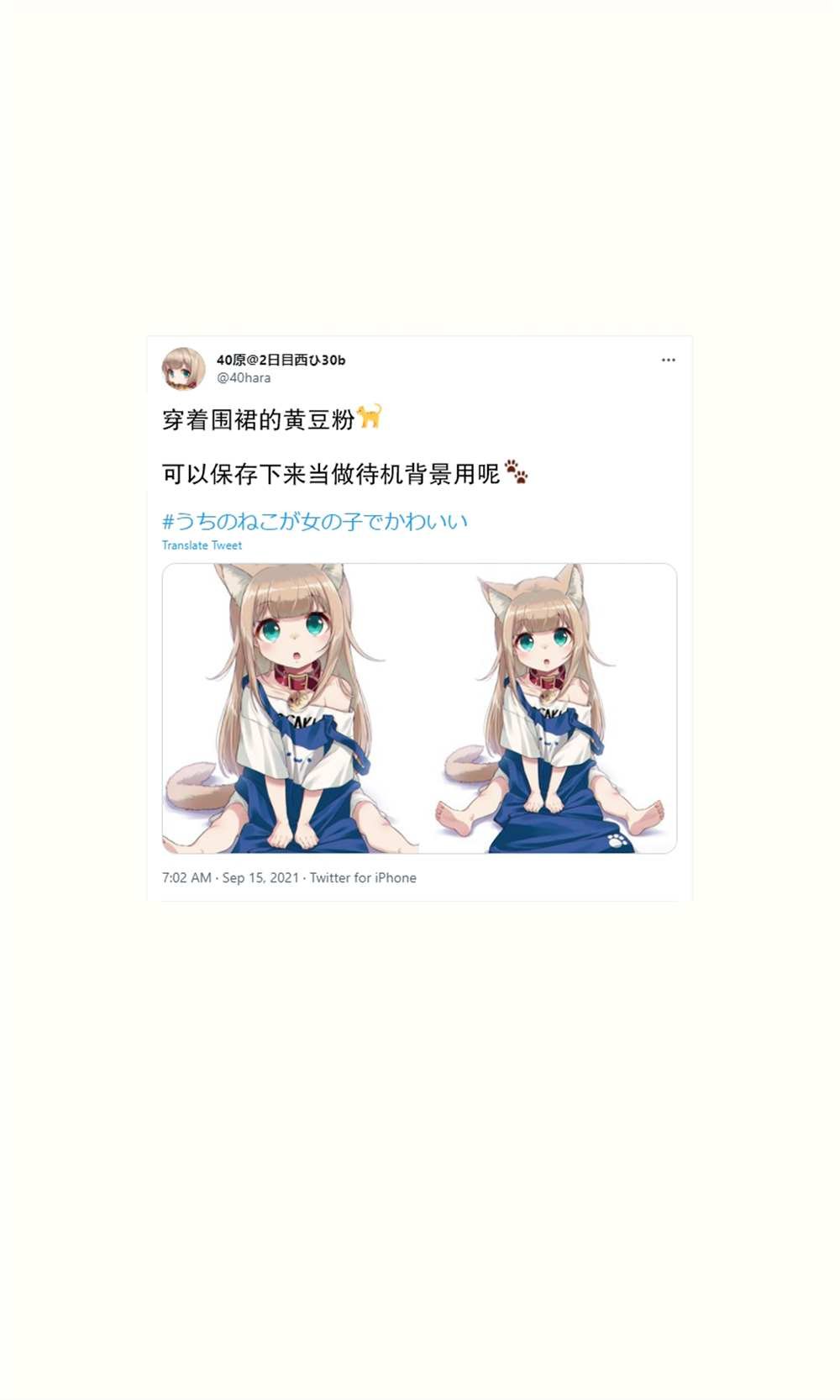 杂图16