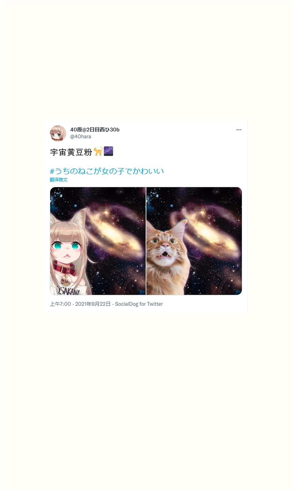 杂图16