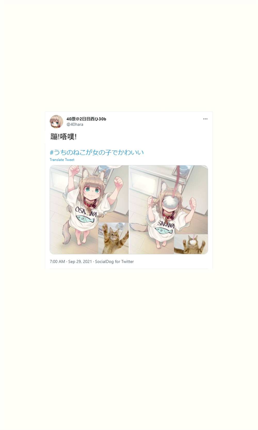 杂图16