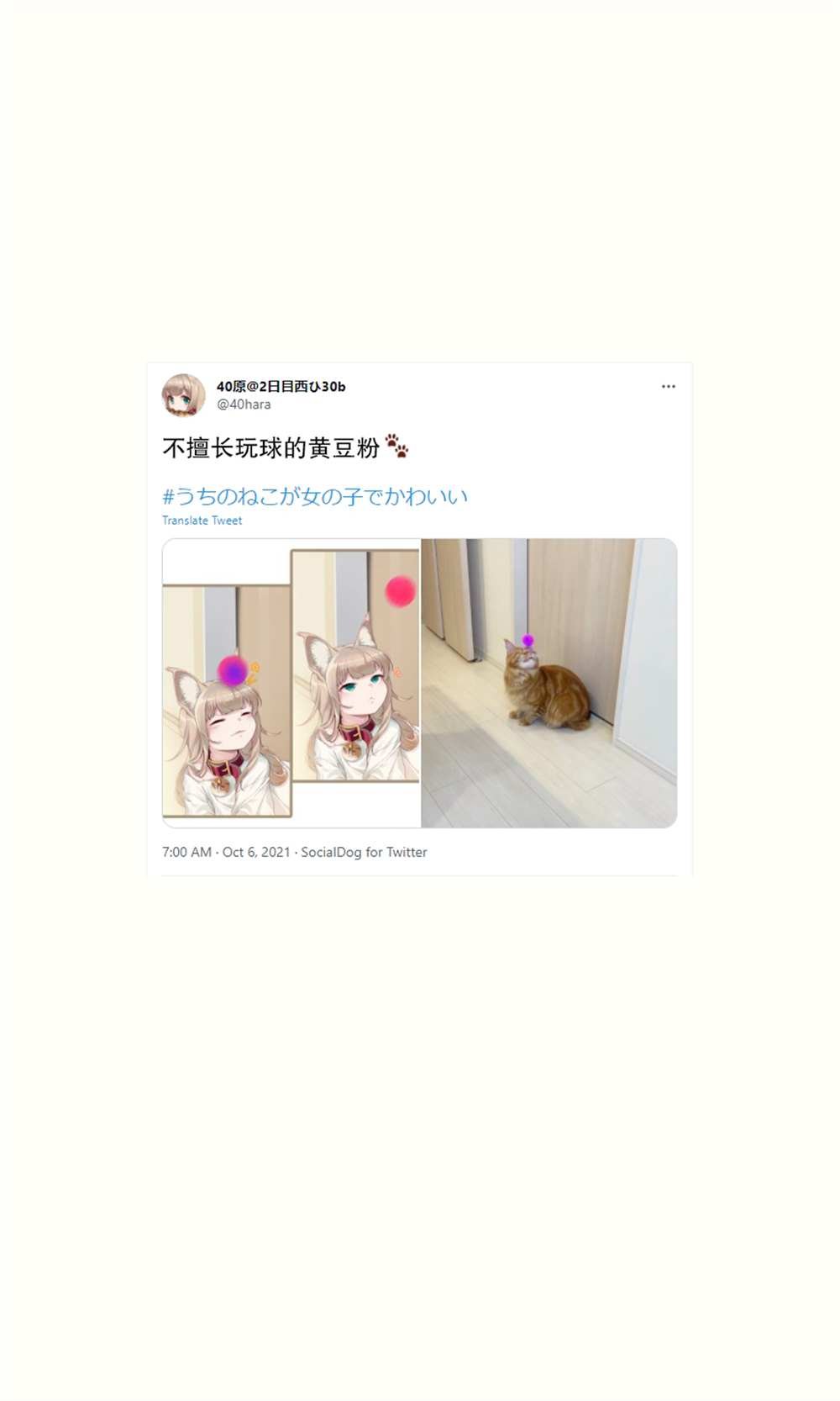 杂图16