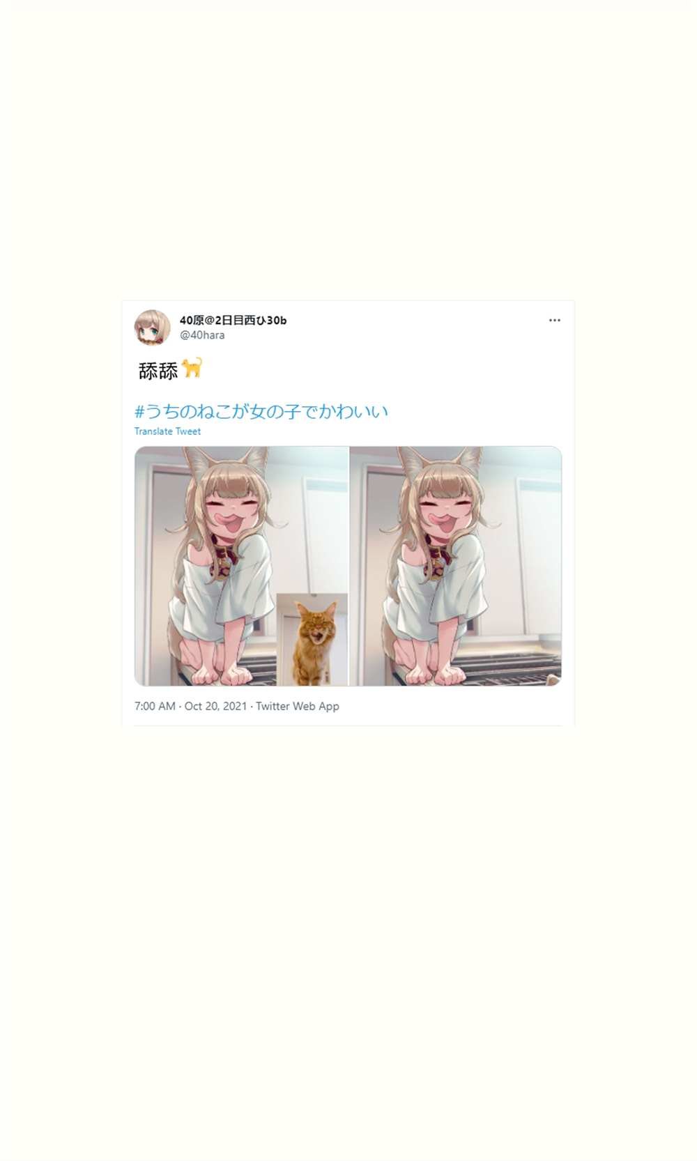 杂图16