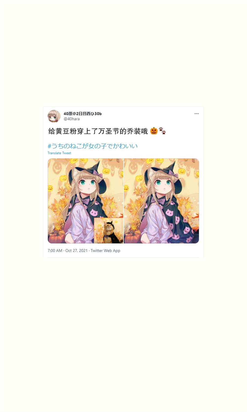 杂图16