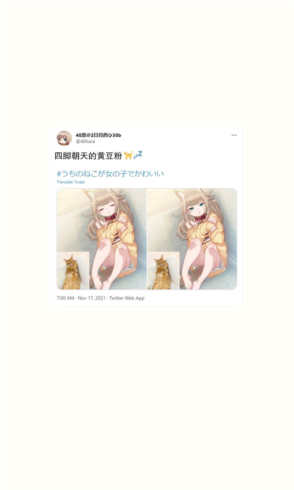 杂图16