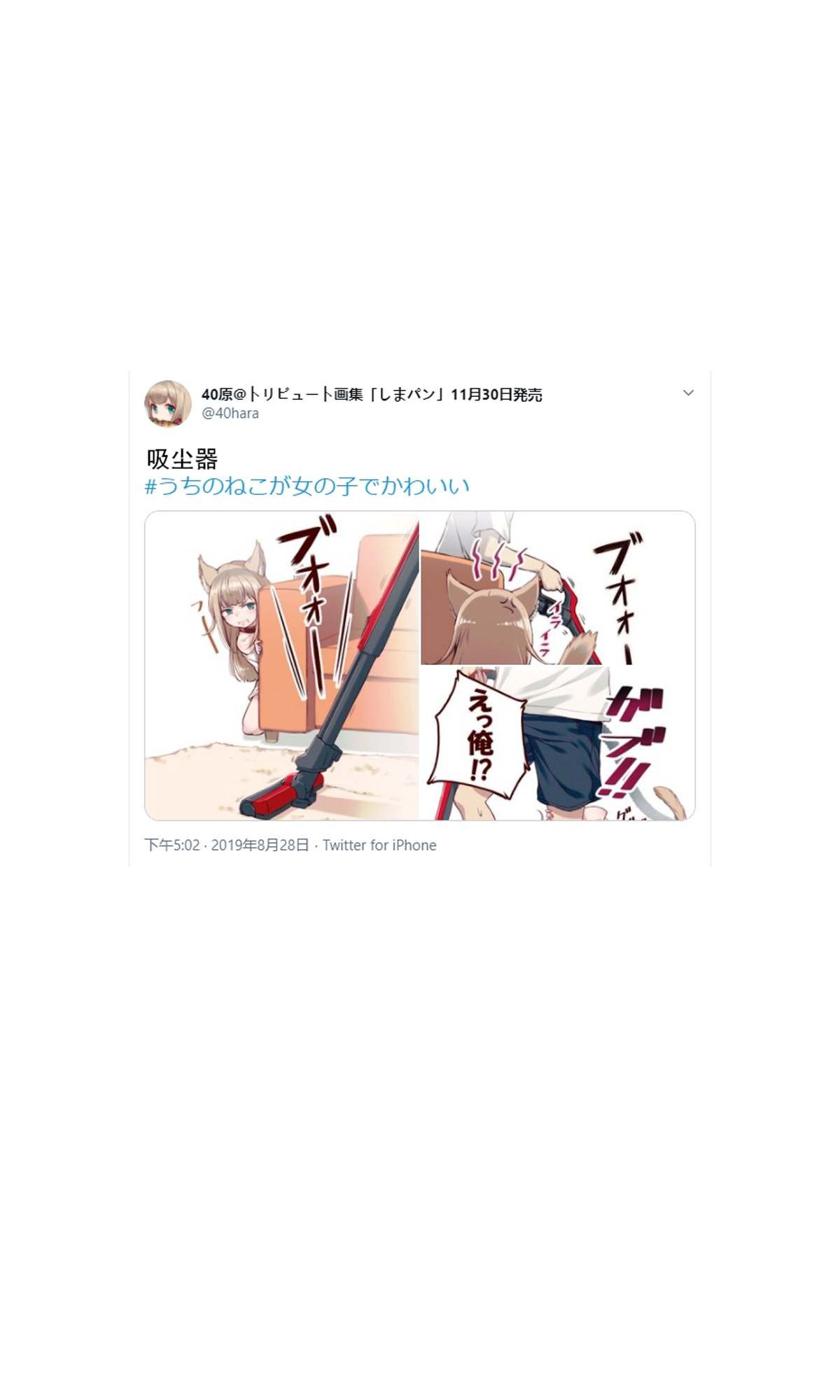 杂图2