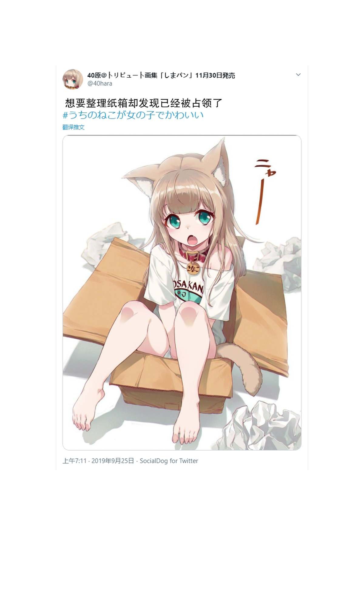 杂图2