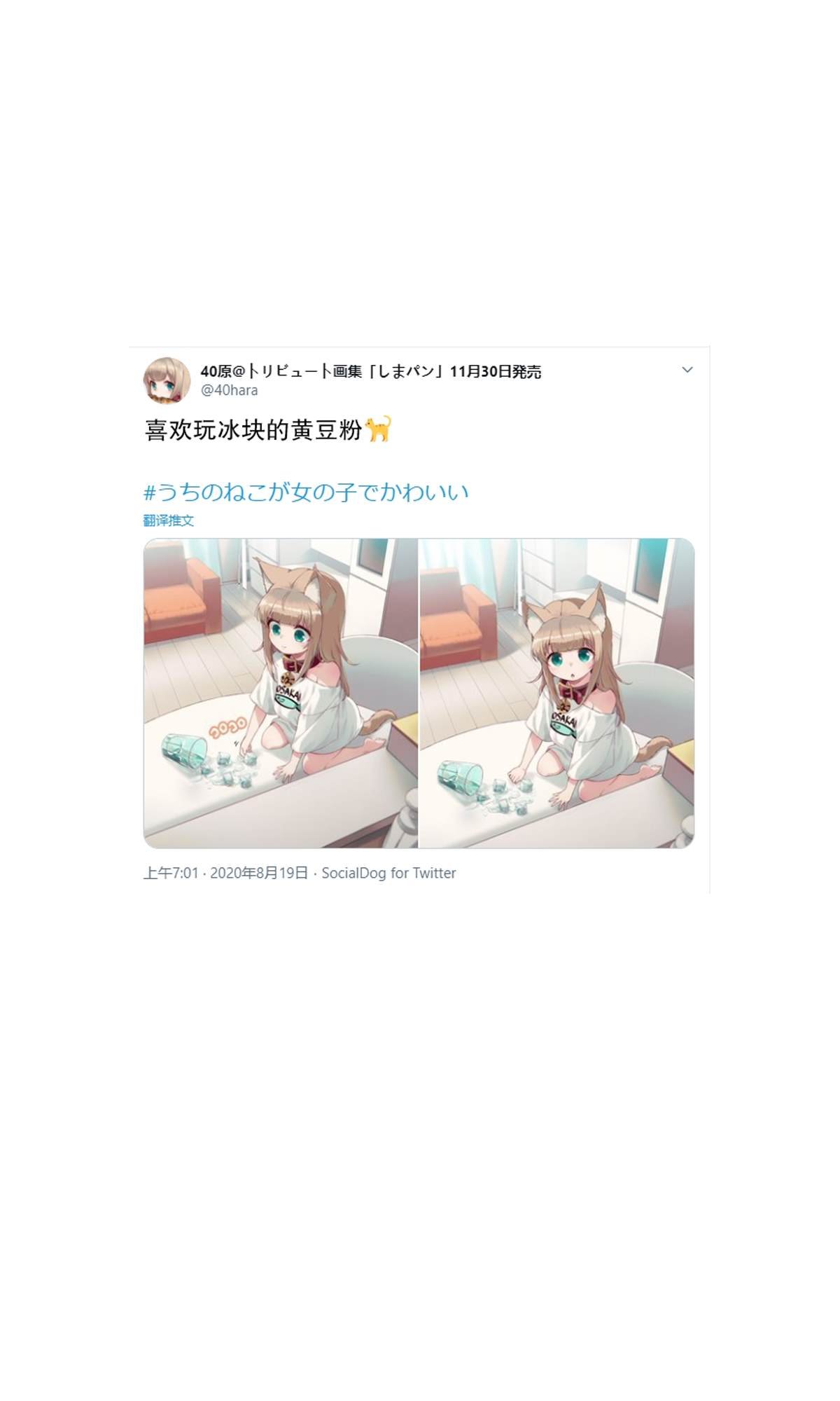 杂图6