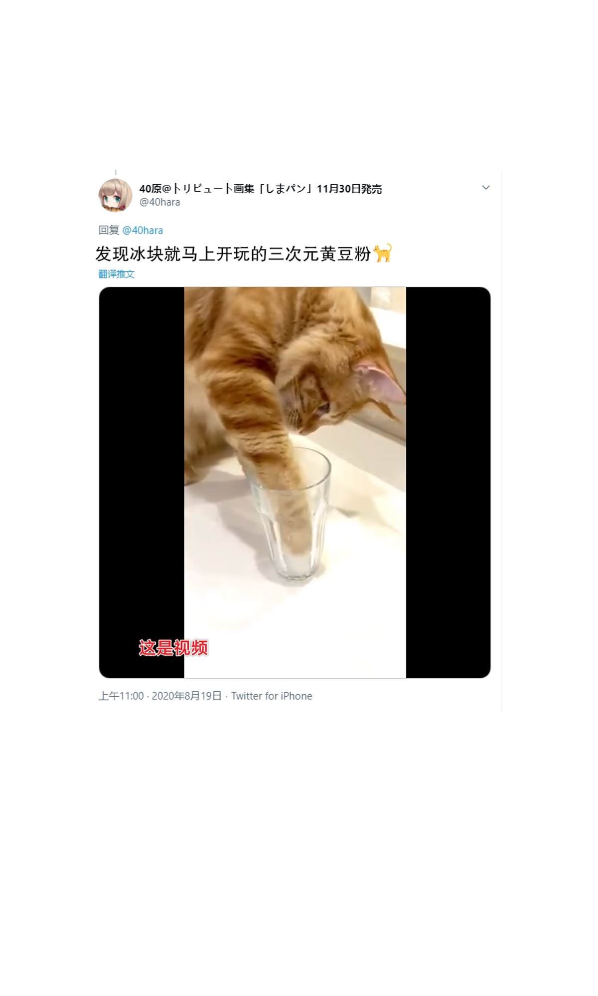 杂图6